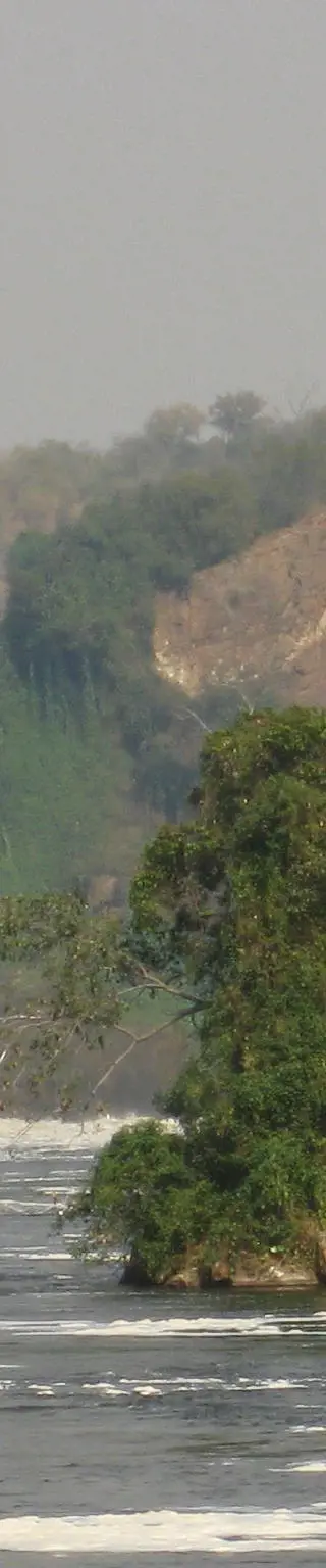 Schimpansen auf der Spur im Murchison Falls Nationalpark